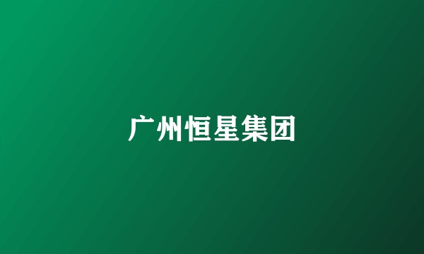广州恒星集团