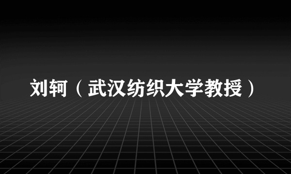 刘轲（武汉纺织大学教授）