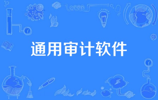 通用审计软件