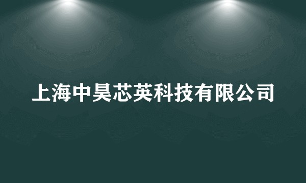 上海中昊芯英科技有限公司