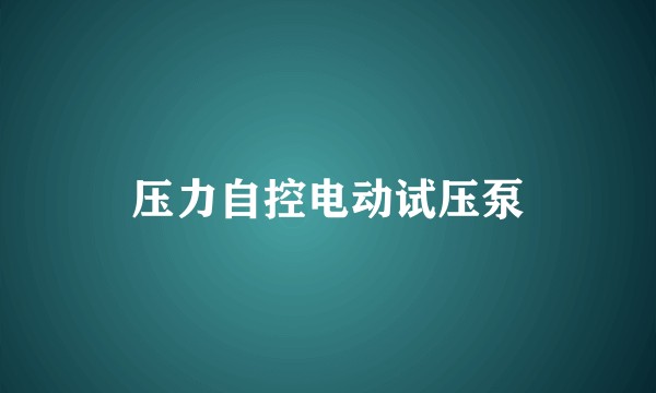 压力自控电动试压泵