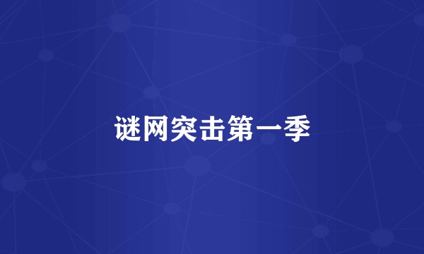 谜网突击第一季