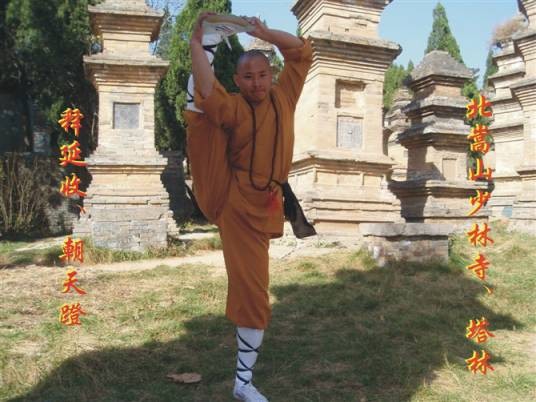达摩十八手