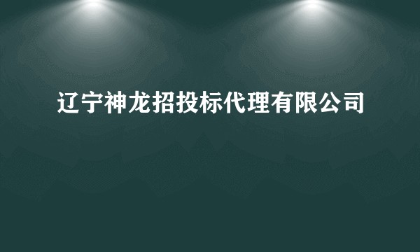 辽宁神龙招投标代理有限公司