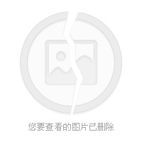 东风破之萨达姆版