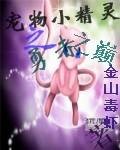 宠物小精灵之勇者之巅