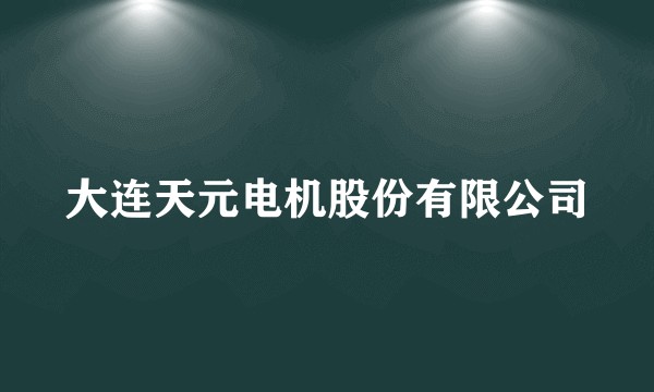 大连天元电机股份有限公司