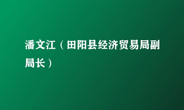 潘文江（田阳县经济贸易局副局长）