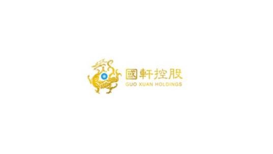 国轩控股集团有限公司