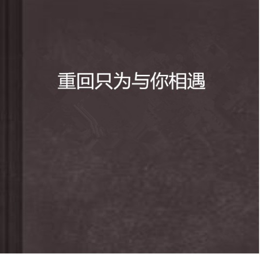 重回只为与你相遇
