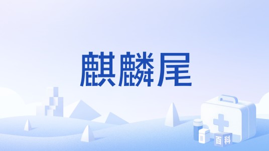 麒麟尾（药材）