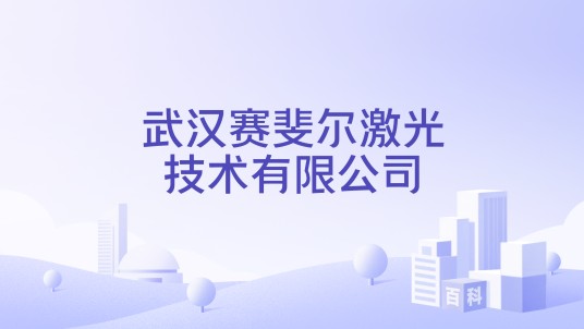 武汉赛斐尔激光技术有限公司