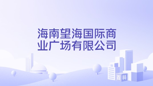 海南望海国际商业广场有限公司