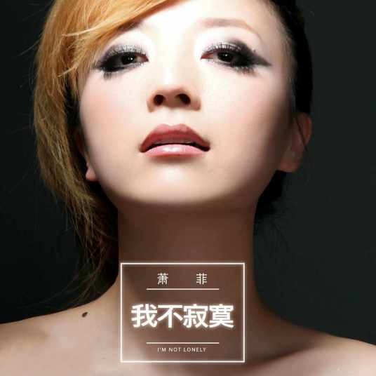 我不寂寞（萧菲演唱歌曲）