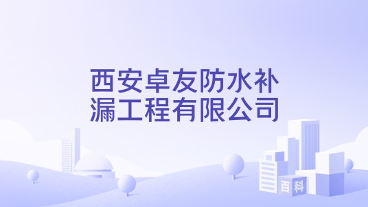西安卓友防水补漏工程有限公司