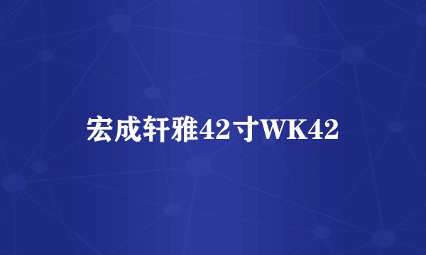 宏成轩雅42寸WK42