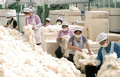 棉花加工资格认定和市场管理暂行办法