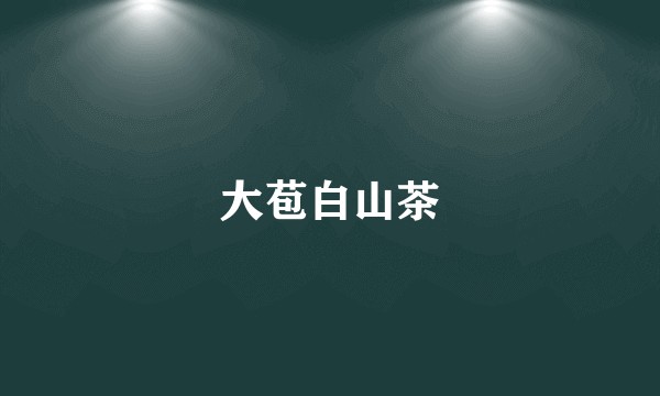 大苞白山茶