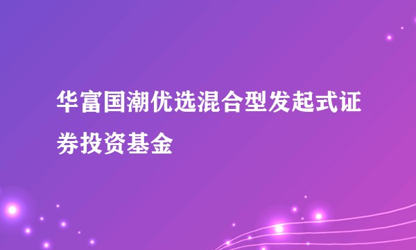 华富国潮优选混合型发起式证券投资基金