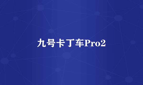 九号卡丁车Pro2