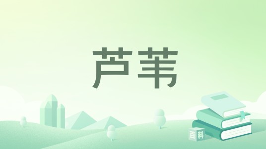芦苇（罗伟章的短篇小说）