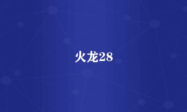 火龙28