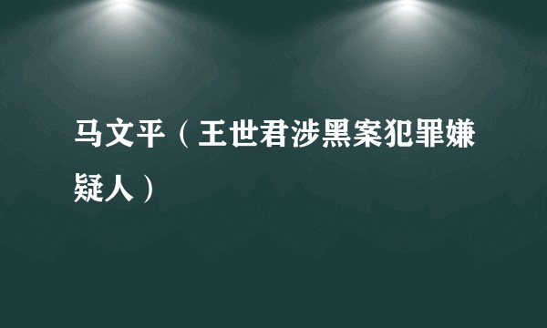 马文平（王世君涉黑案犯罪嫌疑人）