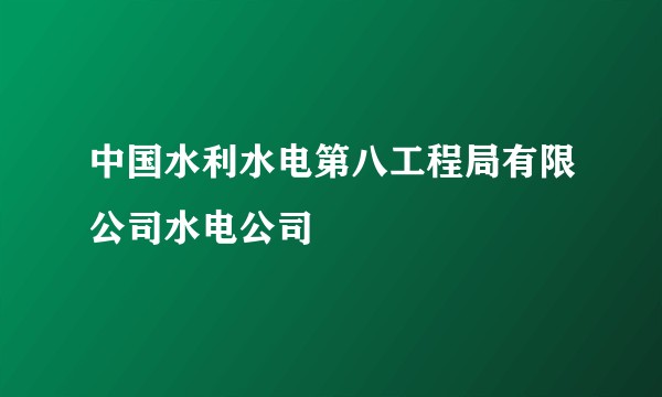 中国水利水电第八工程局有限公司水电公司