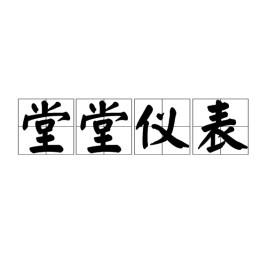 堂堂仪表