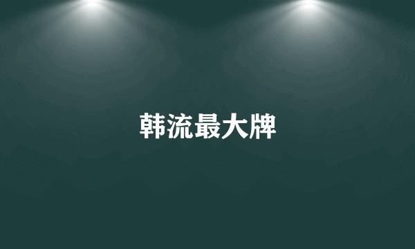 韩流最大牌