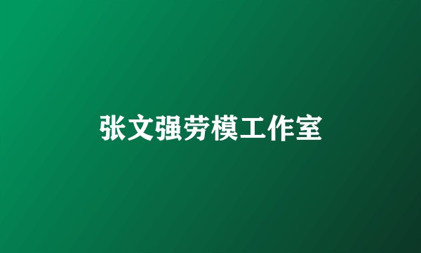 张文强劳模工作室