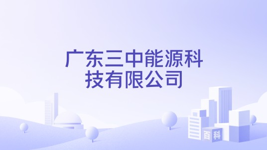 广东三中能源科技有限公司