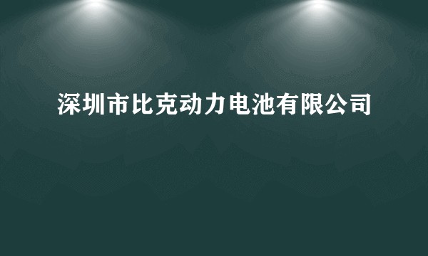 深圳市比克动力电池有限公司