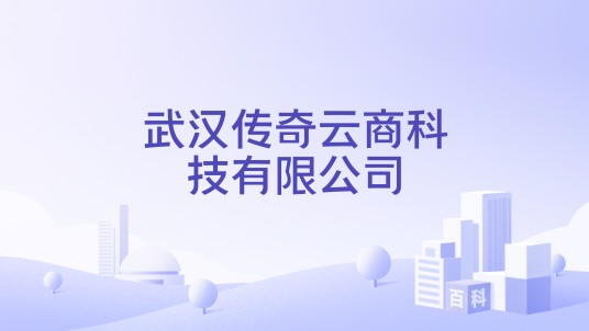 武汉传奇云商科技有限公司