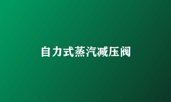 自力式蒸汽减压阀