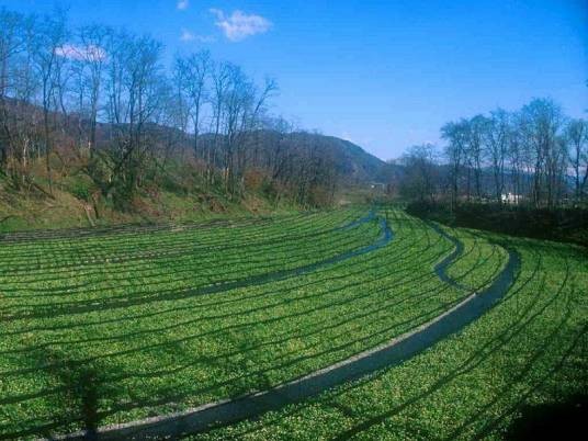 小山地质公园