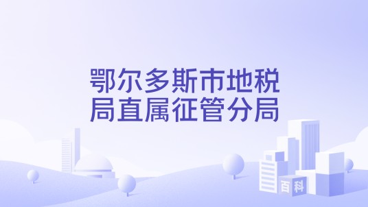 鄂尔多斯市地税局直属征管分局