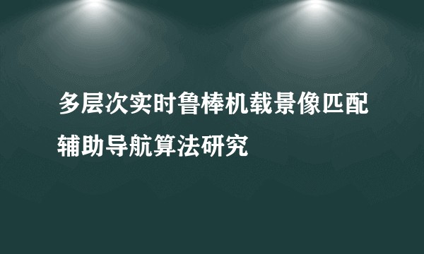 多层次实时鲁棒机载景像匹配辅助导航算法研究