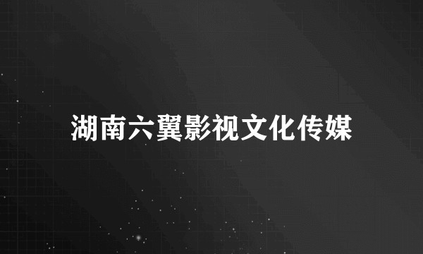 湖南六翼影视文化传媒