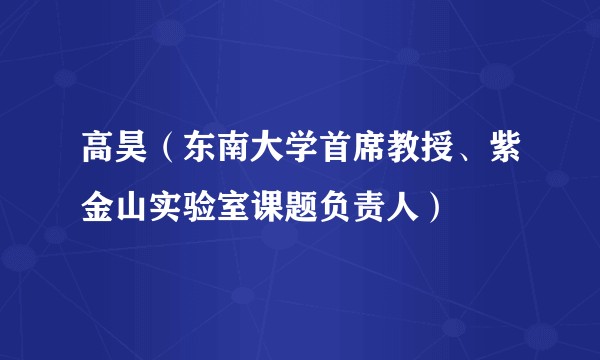 高昊（东南大学首席教授、紫金山实验室课题负责人）