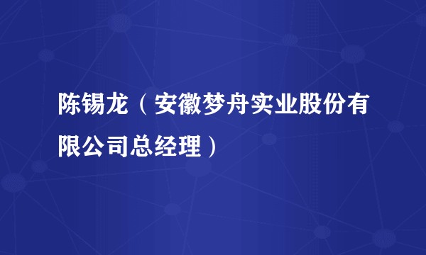 陈锡龙（安徽梦舟实业股份有限公司总经理）