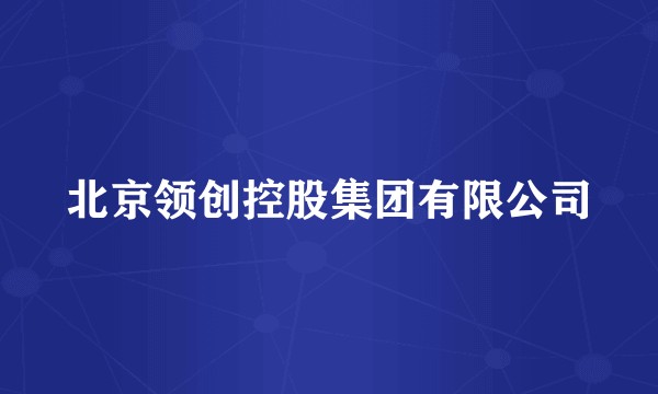 北京领创控股集团有限公司