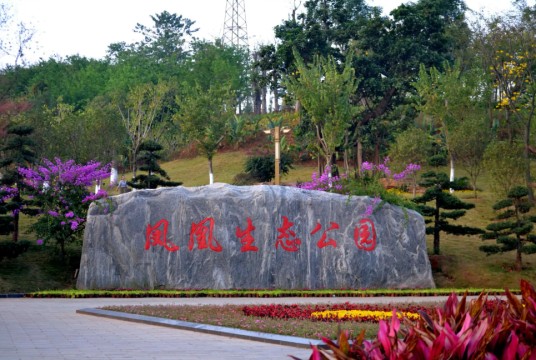 凤凰生态公园