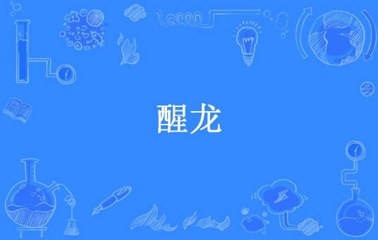 醒龙（我糕呢所著小说）