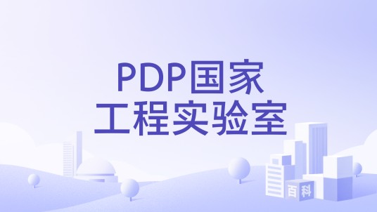 PDP国家工程实验室