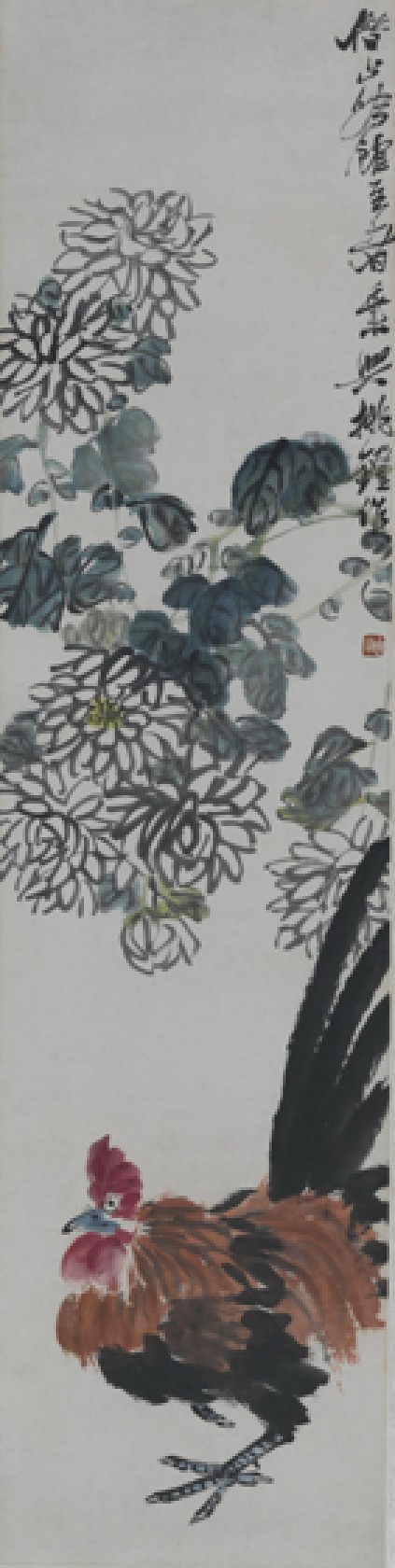 菊花雄鸡