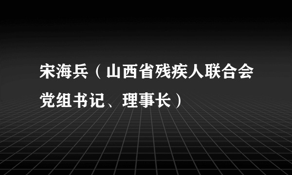 宋海兵(山西省残疾人联合会党组书记、理事长)
