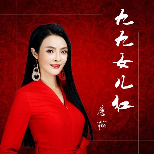 九九女儿红 （DJ何鹏版）