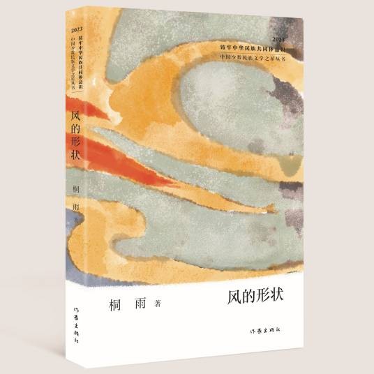 风的形状（桐雨著诗集）