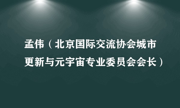 孟伟(北京国际交流协会城市更新与元宇宙专业委员会会长)